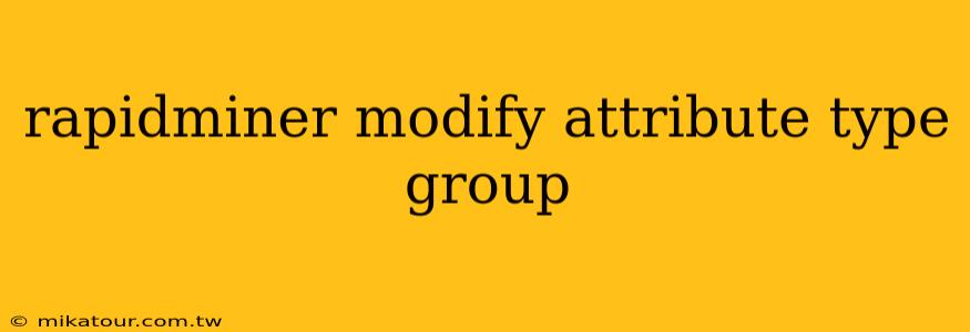 rapidminer modify attribute type group