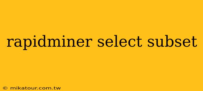 rapidminer select subset