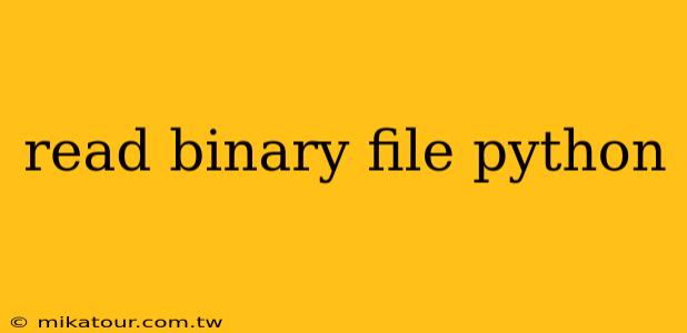 read binary file python