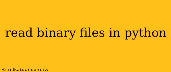 read binary files in python