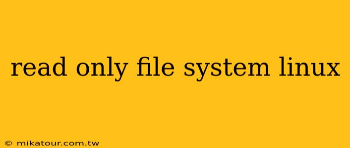 read only file system linux