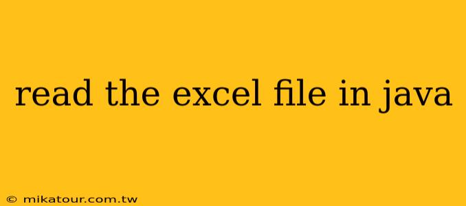 read the excel file in java