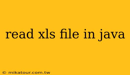 read xls file in java