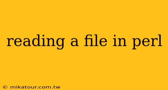 reading a file in perl