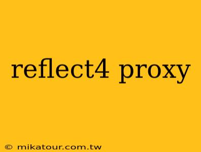 reflect4 proxy