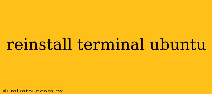 reinstall terminal ubuntu