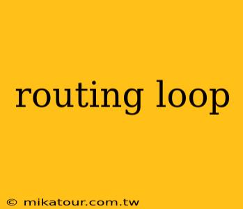 routing loop