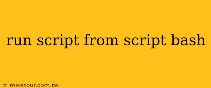 run script from script bash