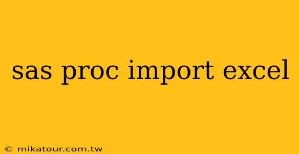 sas proc import excel