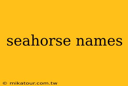 seahorse names