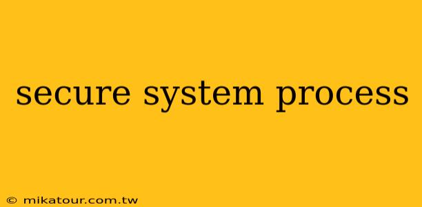 secure system process