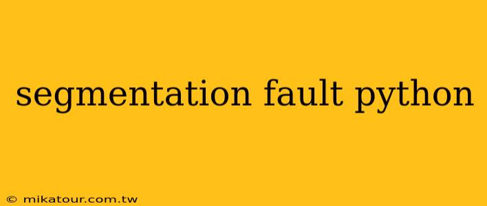 segmentation fault python