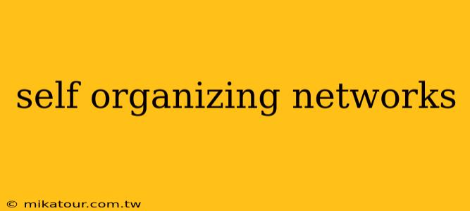 self organizing networks