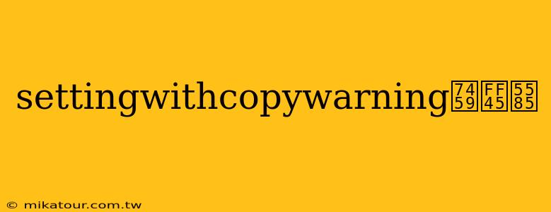 settingwithcopywarning瑙ｅ喅