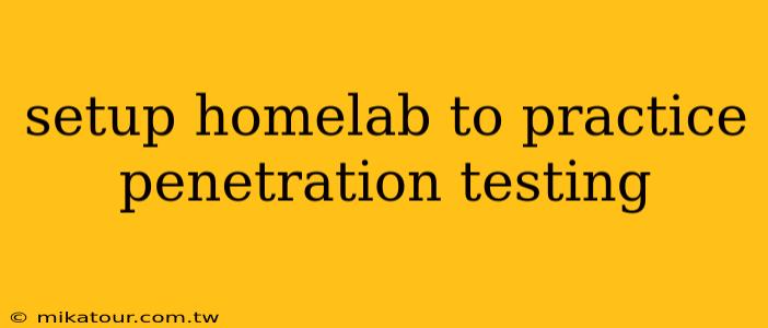 setup homelab to practice penetration testing