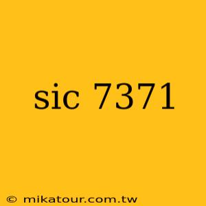 sic 7371