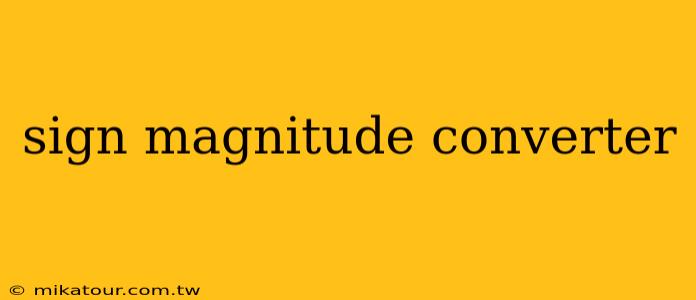 sign magnitude converter