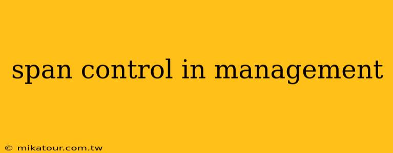 span control in management