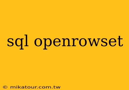 sql openrowset