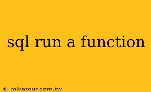 sql run a function