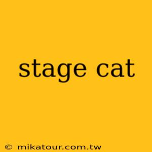 stage cat