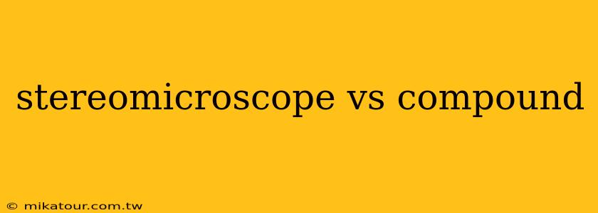 stereomicroscope vs compound