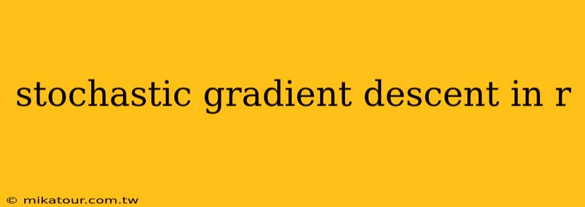 stochastic gradient descent in r