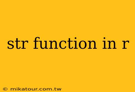 str function in r