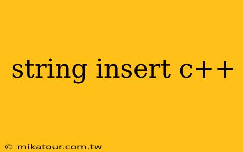 string insert c++