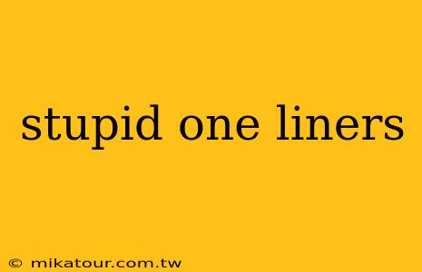 stupid one liners