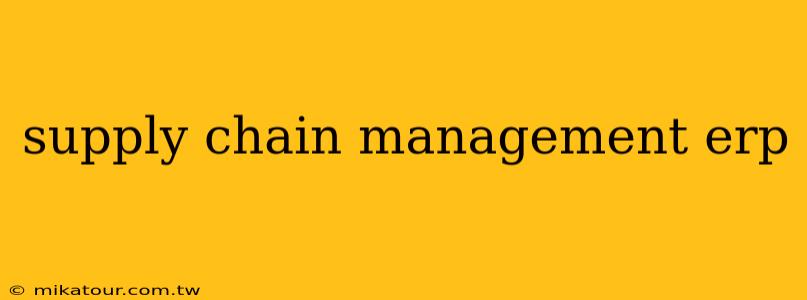 supply chain management erp