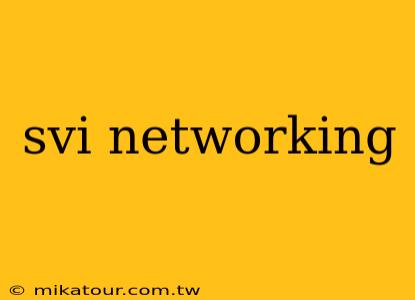 svi networking