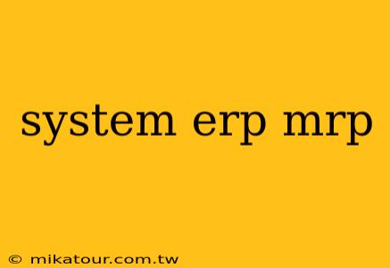 system erp mrp