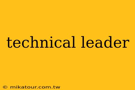 technical leader