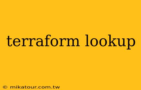 terraform lookup