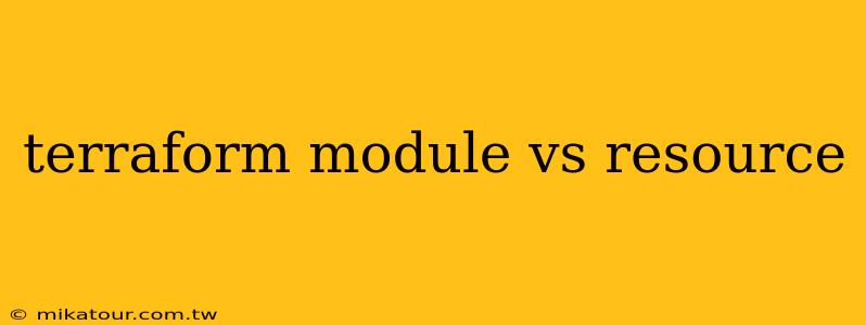 terraform module vs resource