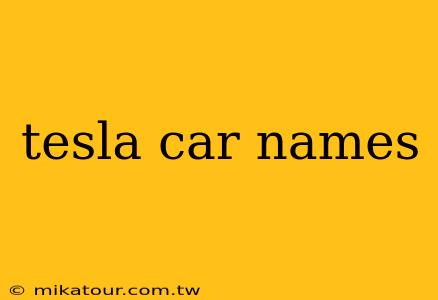 tesla car names