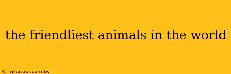 the friendliest animals in the world