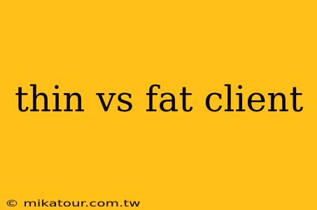 thin vs fat client