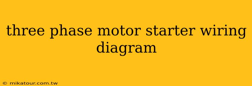 three phase motor starter wiring diagram