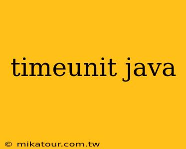 timeunit java