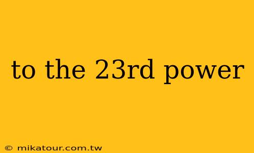 to the 23rd power