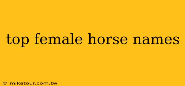 top female horse names