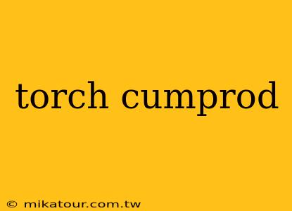 torch cumprod