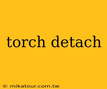 torch detach