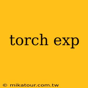 torch exp