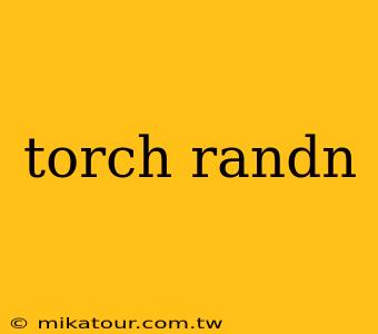 torch randn