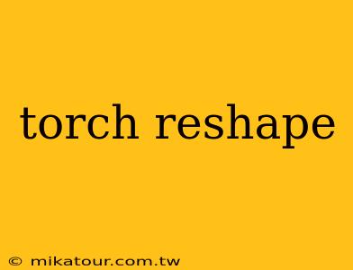 torch reshape