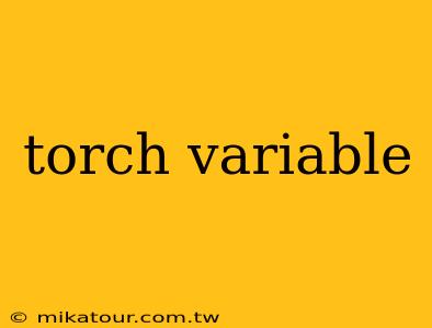 torch variable