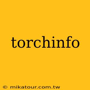 torchinfo